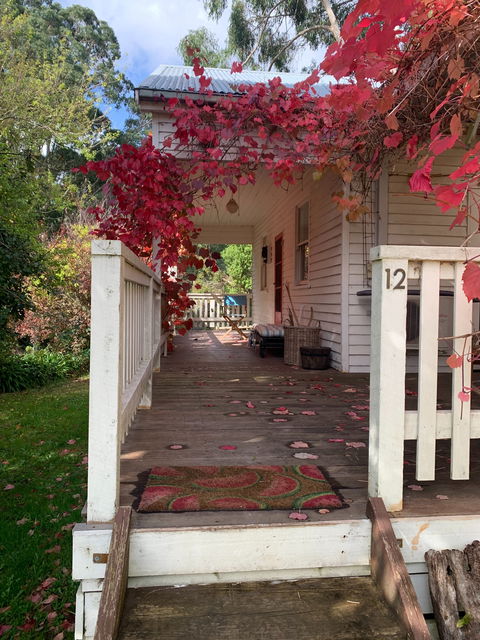 The Riders Palace Forrest - Accommodation in Bendigo 0