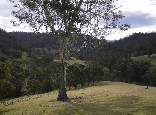 Yasuragi Cabins - Accommodation in Bendigo 1