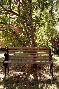 Tara House Bed And Breakfast - Accommodation in Bendigo 4