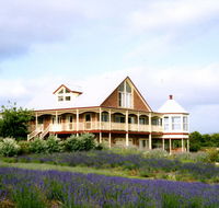 Serendipity Lavender Farm - Accommodation in Bendigo