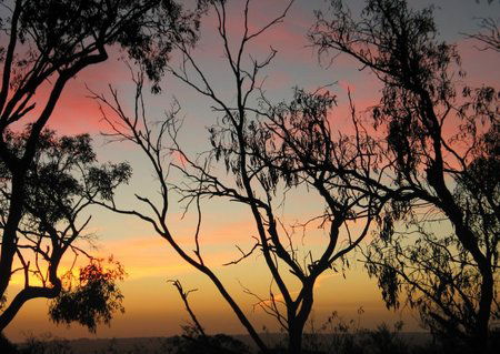 Grandview Manor And Cottage - Accommodation in Bendigo 1
