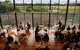 RACV Inverloch Resort - thumb 3