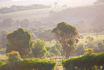 Mackas Farm - Accommodation in Bendigo 0
