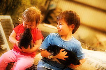 Mackas Farm - Accommodation in Bendigo 1