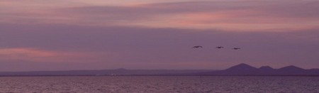 Pelican Sands Bed And Breakfast - Accommodation in Bendigo 0