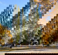 Omeo Caravan Park - Accommodation in Bendigo