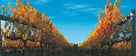 Nagambie Lakes Leisure Park - Accommodation in Bendigo 5