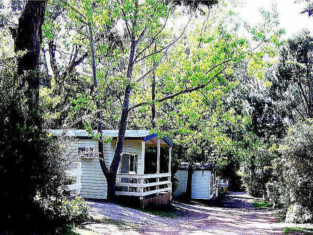 Flinders Caravan Park - Accommodation in Bendigo 0