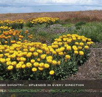 Alpine View Apartments - Accommodation in Bendigo