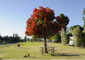 Stratford On The River Tourist Park - Accommodation in Bendigo 2