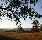 Cann River Rainforest Caravan Park - Accommodation in Bendigo