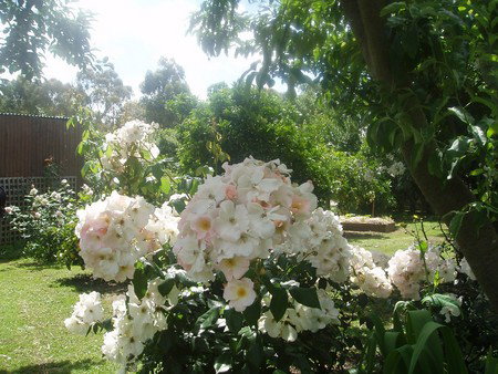 Hudspeth House Bed And Breakfast - Accommodation in Bendigo 3