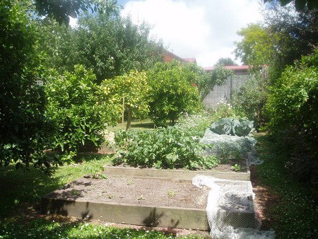 Hudspeth House Bed And Breakfast - Accommodation in Bendigo 4