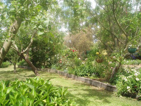 Hudspeth House Bed And Breakfast - Accommodation in Bendigo 5