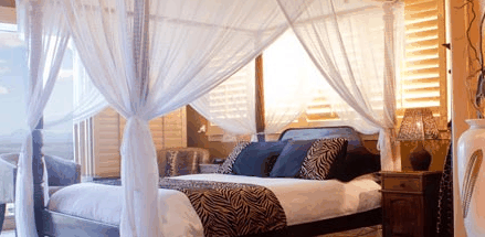 Avocado Sunset - Accommodation in Bendigo 2