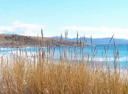 White Sands Estate - Accommodation in Bendigo 0