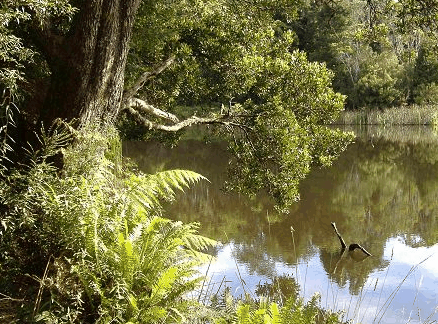 Weldborough Hotel - Accommodation in Bendigo 0