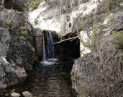 Weldborough Hotel - Accommodation in Bendigo 1