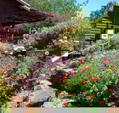 Chestnut Brook Cottage - Accommodation in Bendigo