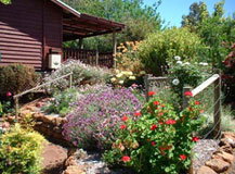 Chestnut Brook Cottage - Accommodation in Bendigo 0