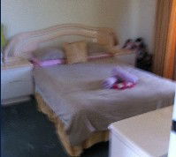 Lake Illawarra Bed & Breakfast - Accommodation in Bendigo 2