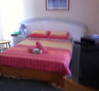 Lake Illawarra Bed & Breakfast - Accommodation in Bendigo 4