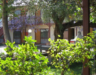 Central Motor Inn Wentworth - Accommodation in Bendigo 2