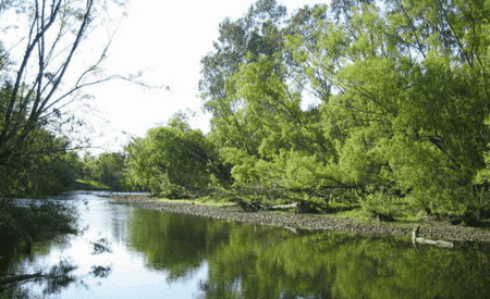 Ribbonwood Cottages - Accommodation in Bendigo