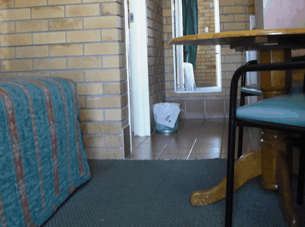 Dragon  Phoenix Motel - Accommodation in Bendigo