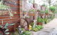 Rooftops Bed & Breakfast - thumb 9