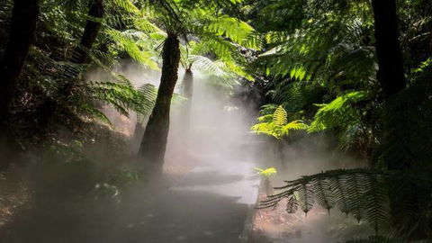 Australian National Botanic Gardens - Accommodation in Bendigo 4