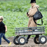 Perth City Farm Organic Markets - Accommodation in Bendigo