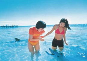  Accommodation in Bendigo