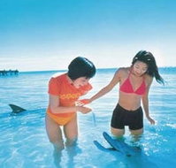 Kookaburra Air - Accommodation in Bendigo