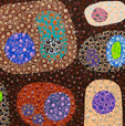 Turner Galleries - Accommodation in Bendigo