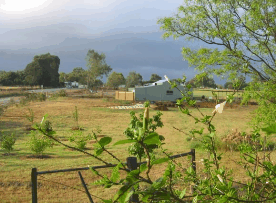 The House Of Honey - Accommodation in Bendigo 2