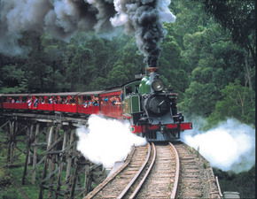 Puffing Billy - Accommodation in Bendigo 1