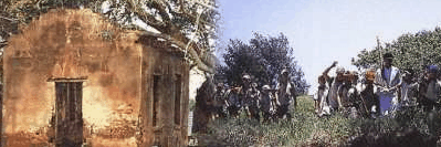 St Helena Island - Accommodation in Bendigo 1