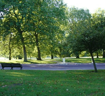 William Taylor Park - Accommodation in Bendigo 0