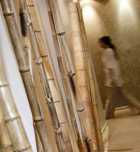 Spa Nirvana - Accommodation in Bendigo 0