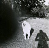 Fehily Contemporary - Accommodation in Bendigo 2