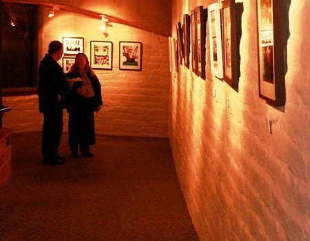 Eltham Library Community Gallery - Accommodation in Bendigo 1