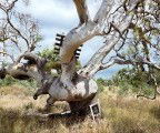 Colour Factory Gallery - Accommodation in Bendigo 3