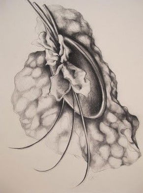 The Library Artspace - Accommodation in Bendigo 1