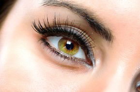 Beauty On Ryrie - Accommodation in Bendigo 1