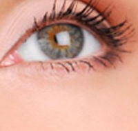 Cinnamon Stix Hair  Day Spa - Accommodation in Bendigo