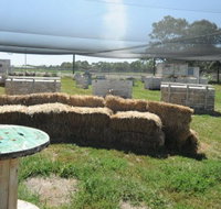 We Are Paintball - Accommodation in Bendigo