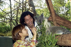 Taronga Zoo - Accommodation in Bendigo 2