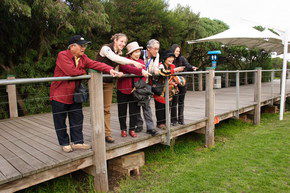 Phillip Island Penguin Parade - Accommodation in Bendigo 1