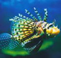 Underwater World - Accommodation in Bendigo